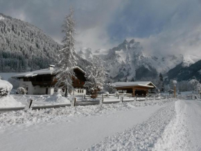 Landhaus Salzburg, Werfenweng, Österreich